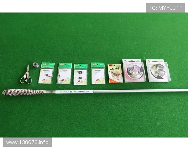 钓鱼直播设备全攻略：从入门到专业的器材选择